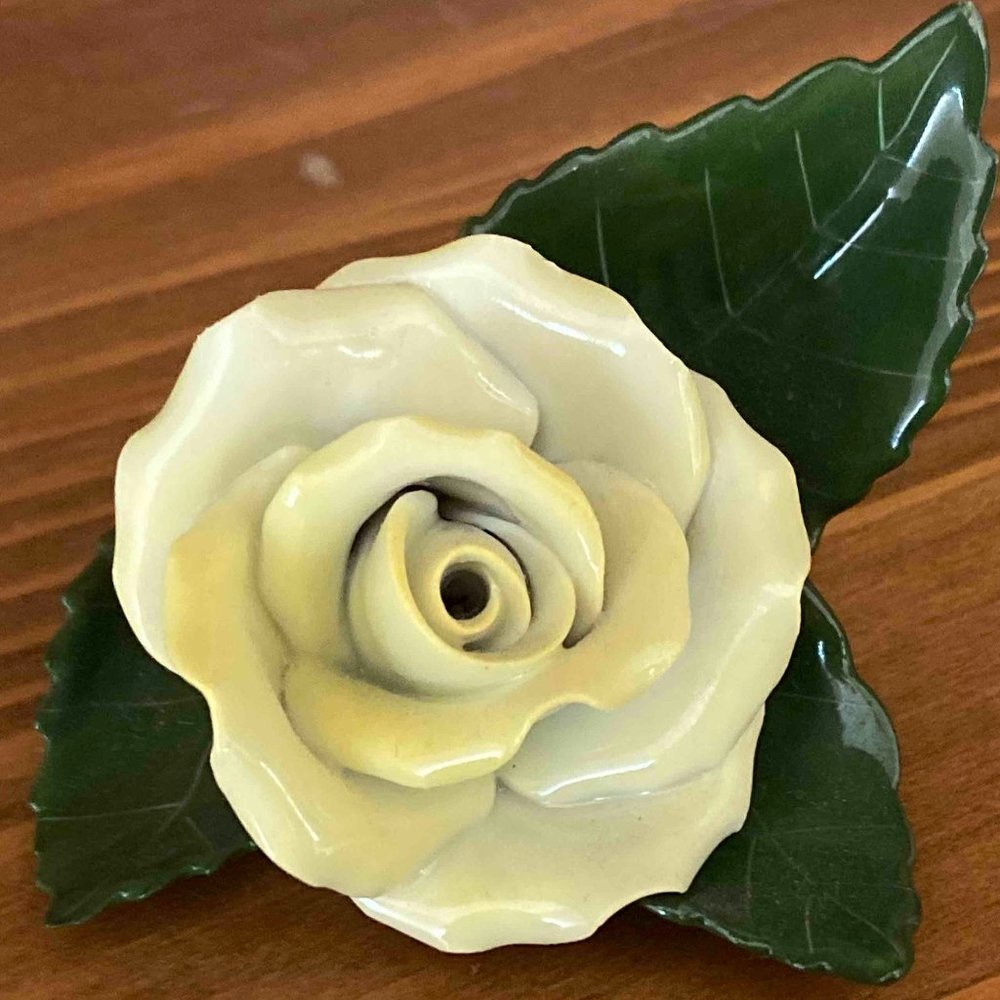 Meet your Posher, Jen